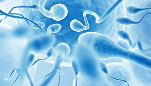 Best IVF Clinic for Male Infertility