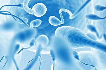 Ovum, Sperm and Embryo Donation Facilities