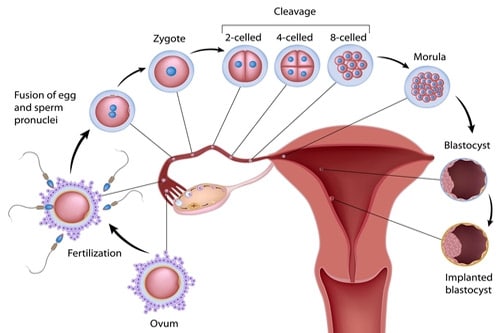 test tube baby treatment in anand Gujarat