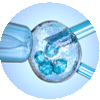 Blastocyst Culture Transfer and Freezing Embryos Treatment clinic in Anandnbsp