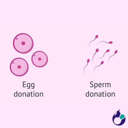 egg donor process by Dr Dipan Thakkar