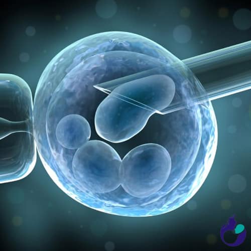 donor embryo cost in Anand india