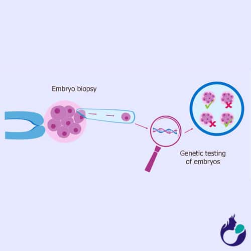 preimplantation genetic testing cost in india