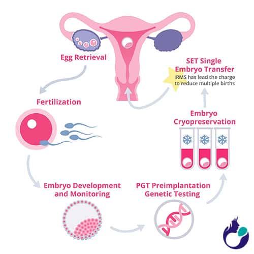 Overview of Surrogacy and IVF Treatment Process