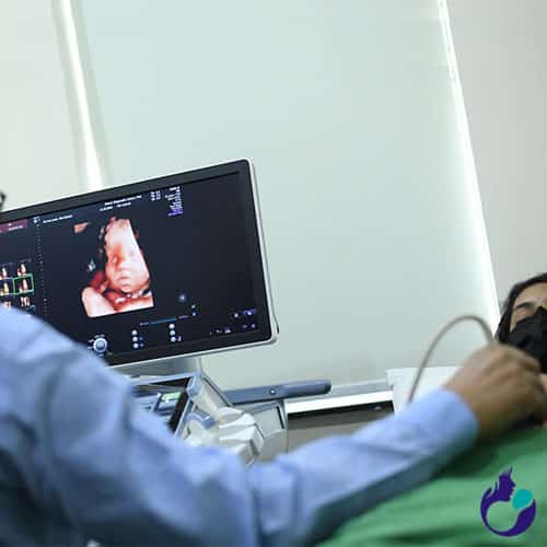 Best 3D Ultrasound and Sonography in Pregnancy by Usha Nursing Home
