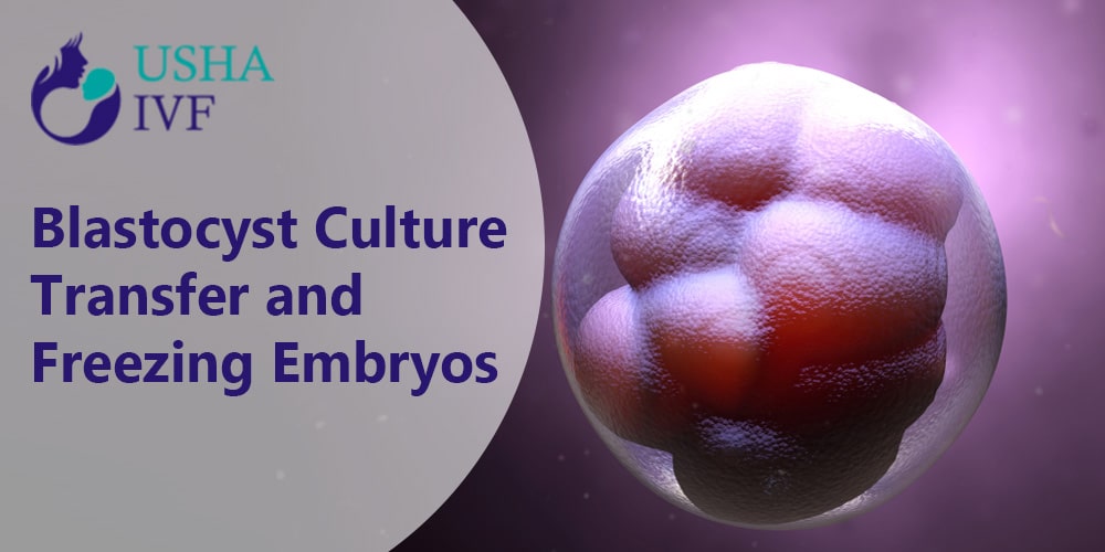 Blastocyst Culture Transfer and Freezing Embryos in Gujarat