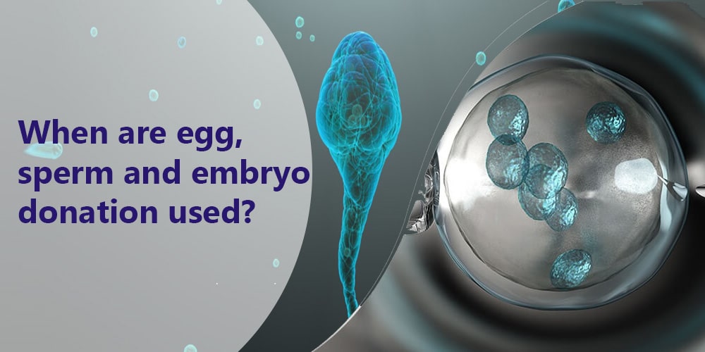 Ovum Sperm and Embryo Donation Facilities by Dr Usha Thakkar