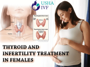 thyroid and infertility treatment in femalesnbsp