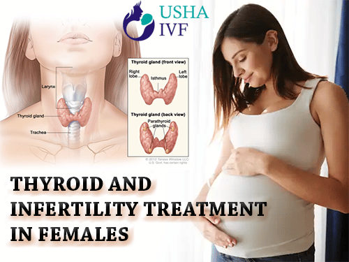 thyroid and infertility treatment in females