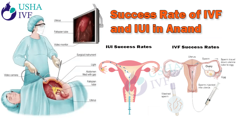 Success Rate of IVF and IUI in Anand 