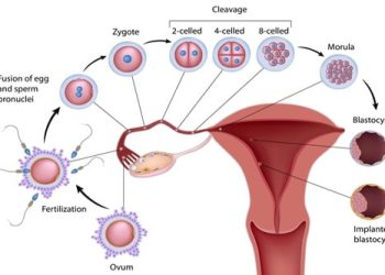 test tube baby treatment in anand, Gujarat